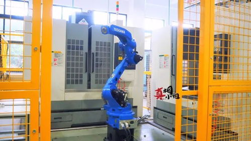 常州造星工廠 網(wǎng)絡(luò)工程鑄就本地小鮮肉崛起之路