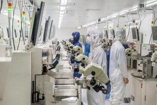 省委書記與省長親臨湖頭光電園指導工作，園區發展成就矚目